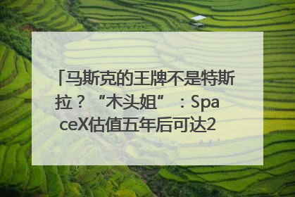马斯克的王牌不是特斯拉？“木头姐”：SpaceX估值五年后可达2.5万亿美元！