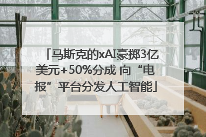马斯克的xAI豪掷3亿美元+50%分成 向“电报”平台分发人工智能