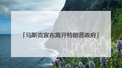 马斯克宣布离开特朗普政府