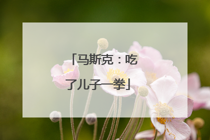 马斯克：吃了儿子一拳