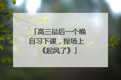 高三最后一个晚自习下课，操场上《起风了》