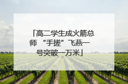 高二学生成火箭总师 “手搓”飞燕一号突破一万米
