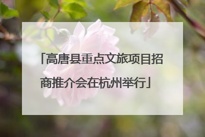 高唐县重点文旅项目招商推介会在杭州举行