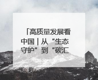 高质量发展看中国｜从“生态守护”到“碳汇生金”——中国石油大庆油田绿色蝶变