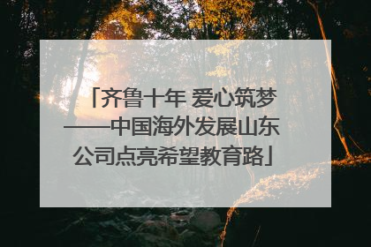 齐鲁十年 爱心筑梦——中国海外发展山东公司点亮希望教育路