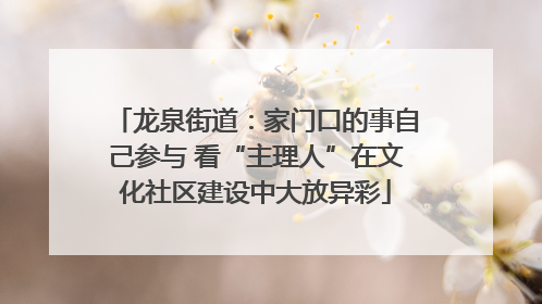 龙泉街道：家门口的事自己参与 看“主理人”在文化社区建设中大放异彩