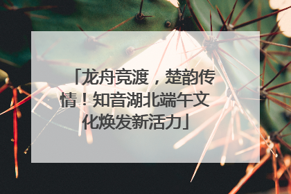 龙舟竞渡，楚韵传情！知音湖北端午文化焕发新活力