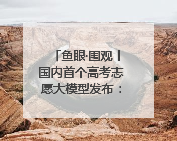 鱼眼·围观丨国内首个高考志愿大模型发布：AI填志愿，靠不靠谱？