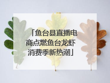 鱼台县直播电商点燃鱼台龙虾消费季新热潮