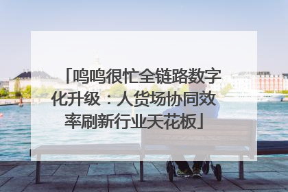 鸣鸣很忙全链路数字化升级：人货场协同效率刷新行业天花板