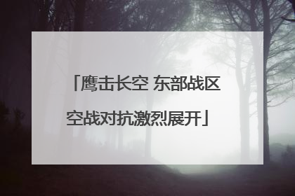 鹰击长空 东部战区空战对抗激烈展开