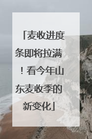 麦收进度条即将拉满！看今年山东麦收季的新变化