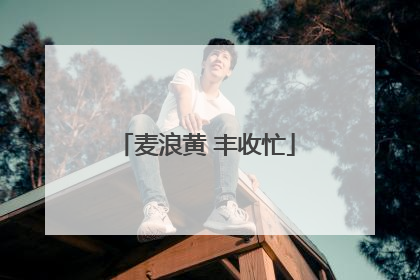 麦浪黄 丰收忙