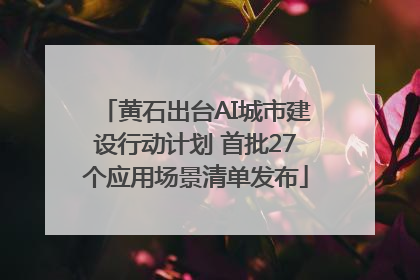 黄石出台AI城市建设行动计划 首批27个应用场景清单发布