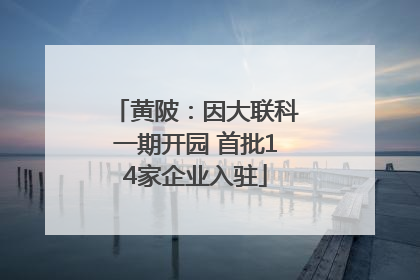 黄陂：因大联科一期开园 首批14家企业入驻