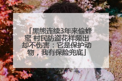 黑熊连续3年来偷蜂蜜 村民防盗花样频出却不伤害：它是保护动物，我有保险兜底
