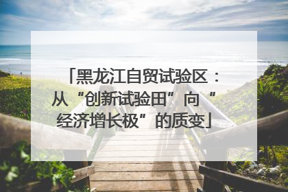 黑龙江自贸试验区：从“创新试验田”向“经济增长极”的质变