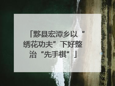 黟县宏潭乡以“绣花功夫”下好整治“先手棋”