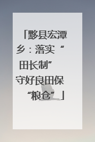 黟县宏潭乡：落实“田长制” 守好良田保“粮仓”