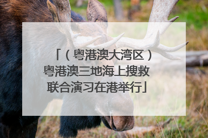 （粤港澳大湾区）粤港澳三地海上搜救联合演习在港举行
