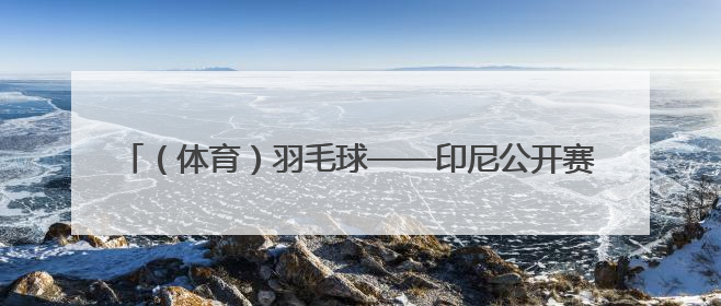 （体育）羽毛球——印尼公开赛：陈柏阳/刘毅无缘男双八强