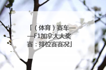 （体育）赛车——F1加拿大大奖赛：排位赛赛况