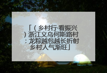 （乡村行·看振兴）浙江义乌何斯路村：龙粽越包越长折射乡村人气渐旺
