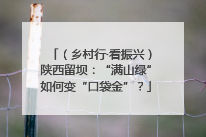 （乡村行·看振兴）陕西留坝：“满山绿”如何变“口袋金”？