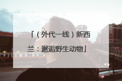 （外代一线）新西兰：邂逅野生动物