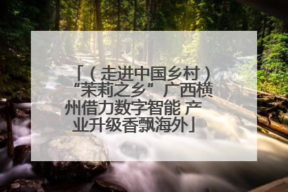 （走进中国乡村）“茉莉之乡”广西横州借力数字智能 产业升级香飘海外