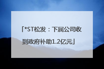 *ST松发：下属公司收到政府补助1.2亿元