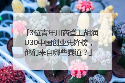 3位青年川商登上胡润U30中国创业先锋榜，他们来自哪些赛道？