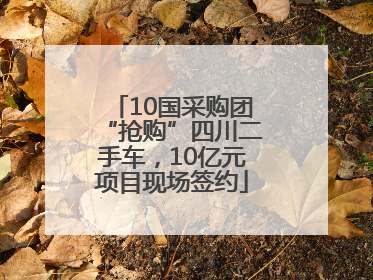 10国采购团“抢购”四川二手车，10亿元项目现场签约