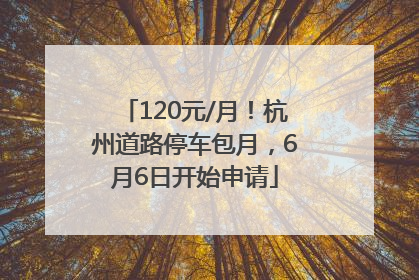 120元/月！杭州道路停车包月，6月6日开始申请