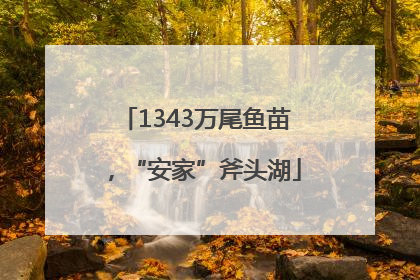 1343万尾鱼苗，“安家”斧头湖