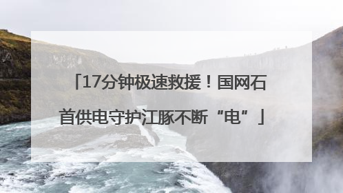 17分钟极速救援！国网石首供电守护江豚不断“电”