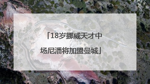 18岁挪威天才中场尼潘将加盟曼城