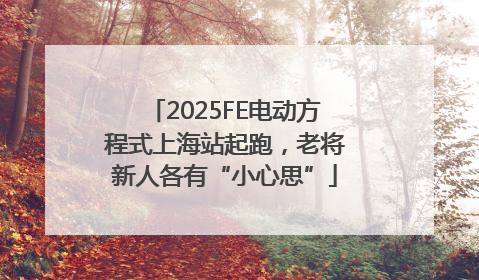 2025FE电动方程式上海站起跑，老将新人各有“小心思”
