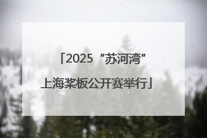 2025“苏河湾”上海桨板公开赛举行