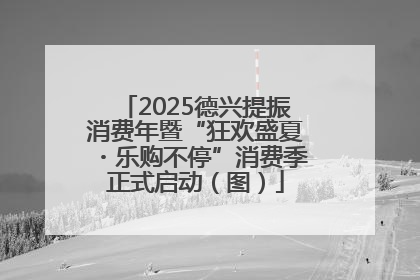 2025德兴提振消费年暨“狂欢盛夏・乐购不停”消费季正式启动（图）