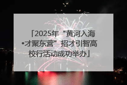 2025年“黄河入海•才聚东营”招才引智高校行活动成功举办