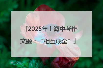 2025年上海中考作文题：“相互成全”