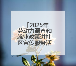 2025年劳动力调查和就业政策进社区宣传服务活动·临沂站 顺利举行