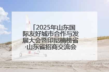 2025年山东国际友好城市合作与发展大会暨印尼楠榜省·山东省招商交流会在济南槐荫举行