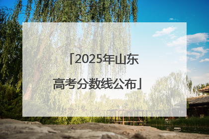 2025年山东高考分数线公布