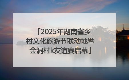2025年湖南省乡村文化旅游节联动地暨金洞村k友谊赛启幕