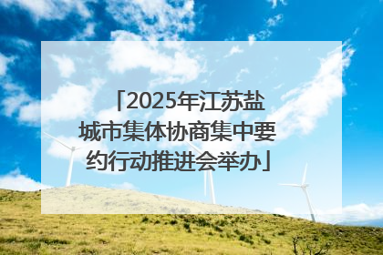 2025年江苏盐城市集体协商集中要约行动推进会举办