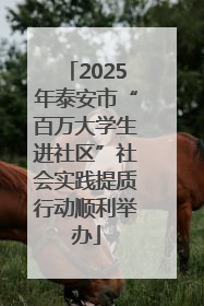 2025年泰安市“百万大学生进社区”社会实践提质行动顺利举办