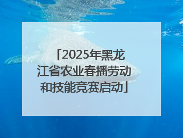 2025年黑龙江省农业春播劳动和技能竞赛启动