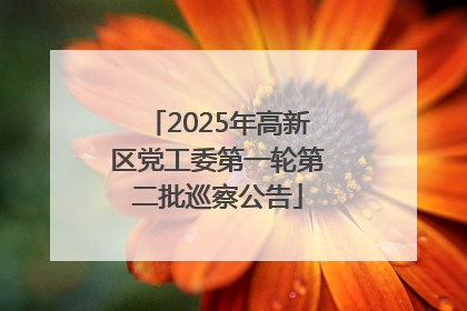 2025年高新区党工委第一轮第二批巡察公告